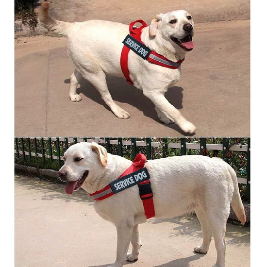 SERVICE DOG Adjustable Dog Harness Vest