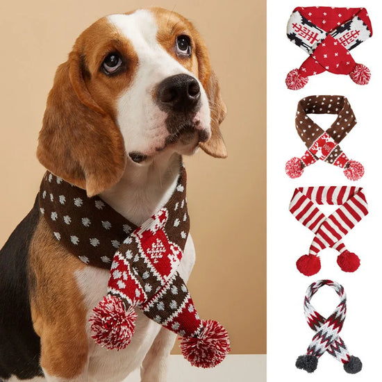 Christmas Dog Scarf | Knitted Winter Pet Scarf with Pom Poms – Cozy Holiday Accessory