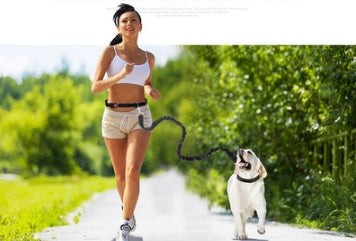 Hands-Free Reflective Dog Leash & Waist Belt Set – Safe, Secure & Perfect for Active Pet Owners!