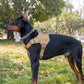 Tactical dog vest: for large dogs  – training, military-style accessories.