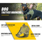 Tactical dog vest: for large dogs  – training, military-style accessories.