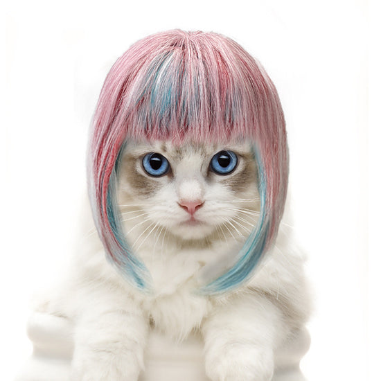 FABBU GROOVY KITTY WIG