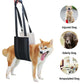 Adjustable dog leash with pet assistance strap
