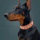 Rivet  Dog Collar