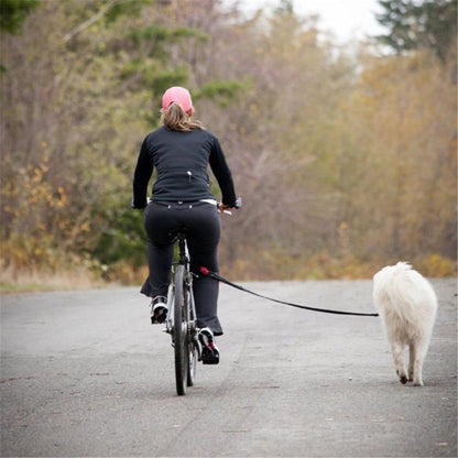 Bicycle Traction Dog Chain & Detachable Dog Walker Harness - Safe & Hands-Free Dog Control