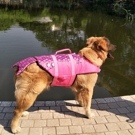 Pet Lifejacket Shark/Mermaid Swimsuit Dog- Swimsuit Safety Suit Dog