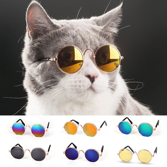 1pc Lovely Pet Cat Glasses/ Small Dog Glasses