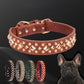 Rivet  Dog Collar
