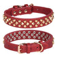Rivet  Dog Collar