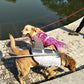 Pet Lifejacket Shark/Mermaid Swimsuit Dog- Swimsuit Safety Suit Dog