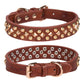 Rivet  Dog Collar