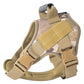 Tactical dog vest: for large dogs  – training, military-style accessories.