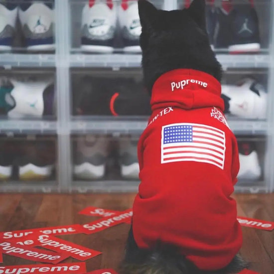 USA Dog Hoodie, Warm Sport Retro Dog Hoodie