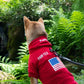 USA Dog Hoodie, Warm Sport Retro Dog Hoodie