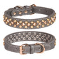 Rivet  Dog Collar