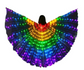 FabbuFinds Fairy Wings