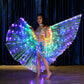 FabbuFinds Fairy Wings