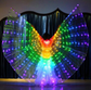 FabbuFinds Fairy Wings
