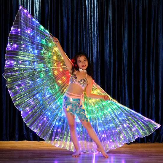 FabbuFinds Fairy Wings
