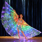 FabbuFinds Fairy Wings