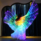 FabbuFinds Fairy Wings