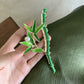 Hairpin,  Green Bamboo clip,Banana Clip
